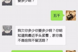 辽源融资清欠服务